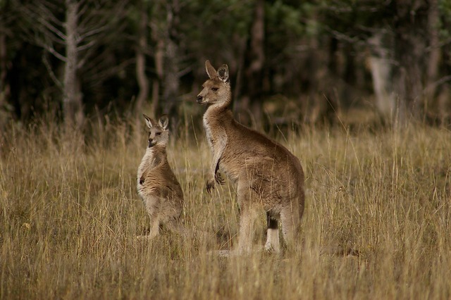 Mother and child