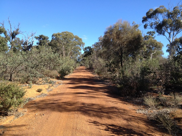 wonderful bush country