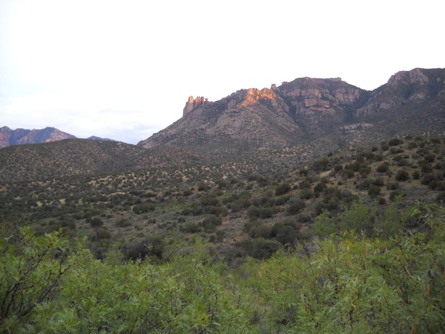 Chiricahua mountains