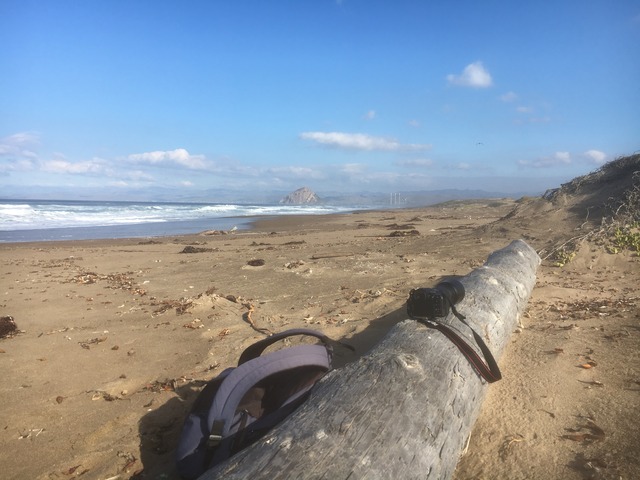 Morro Bay beach2